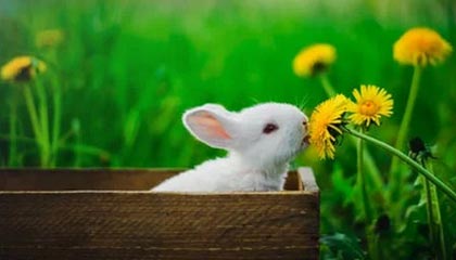 《剑星》服装修改MOD：光腿黑丝都有 你喜欢哪个？